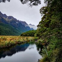 20250501_110853 The Mirror Lakes are stunning reflection ponds located in Fiordland National Park, known for their breathtaking views of the Earl Mountains and easy...