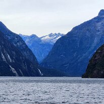 20250501_143007 Sterling Falls as seen from the stern of our ship as we cruised the Milford Sound. With a mean annual rainfall of 252 inches each year Milford Sound is known as...