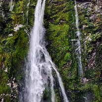 20250501_143531 This is Stirling Falls. One of the must see New Zealand Waterfalls, Stirling Falls, Māori name Waimanu Falls, is the most magnificent waterfall in the world's...