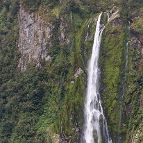 IMG_2526 As you cruise through the pristine waters of Milford Sound, the sheer size and grandeur of Stirling Falls will capture your attention.