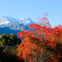 IMG_2564 The umber fall foliage made the view of Mount Larkins even more fantastic!