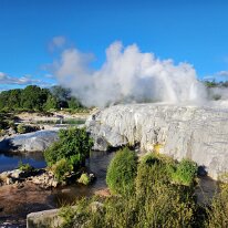 20250503_153241 Te Puia also has the Southern Hemisphere’s largest natural geyser, Pōhutu Geyser, which naturally erupts skyward over 15 times during a day. This is New...