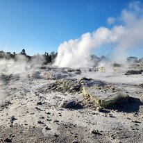 20250503_153642 We saw boiling hot pools and bubbling mud, and learned how the Maori utilised and respected the ever-changing forces beneath their land.