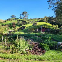 20250504_101024 Welcome to The Shire, home of the Hobbiton Movie Set where The Lord of the Rings and The Hobbit Trilogies were filmed.