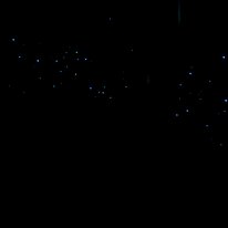 IMG-20250503-WA0015 No flash photography is allowed so it is hard to do these little critters justice by picture. The glowworms are the larvae of a species of gnat unique to New...