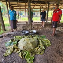 20250507_112336 Lovo means “a feast cooked in the earth” and that’s exactly what it is! Pork, fish, lamb and vegetables are wrapped in banana leaves and slow-cooked in an...