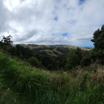 20250411_134834 More stunning scenery in the Barham Paradise Scenic Reserve along the Great Ocean Road as we make our way to the Twelve Apostles.