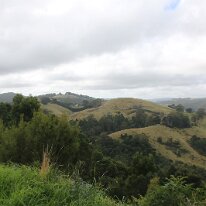 IMG_2090 Another view of the Barham Paradise Scenic Reserve.