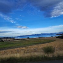 20250413_083214 Our tour today takes us to the Tasmanian Devil UnZoo Conservation Park and Port Arthur Historical Site. This is a view across Iron Creek Bay with Mount Garrett...