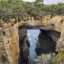 20250413_091741 Located on the rugged east side of the Tasman Peninsula, we saw Devils Kitchen, a dramatic piece of coastline. Devils Kitchen is a deep trench that has been...