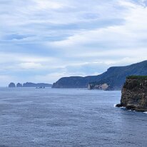 20250413_092227 A view along the Waterfall-Fortescue Marine Conservation Area. Rocky reef habitats in the reserve support a diversity and abundance of species, including banded...