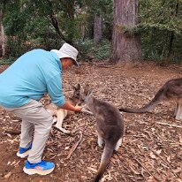 20250413_105653 Ken gets to feed some of the kangaroos. This large area also contains a trough full of food from which Ken used to feed these marsupials.