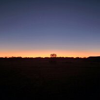 20250417_062420 We spent time watching the sun emerge on the vast outback horizon.