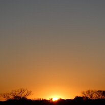 IMG-20250417-WA0001 As the sun continues to rise it is time to reboard the train and continue our journey to Alice Springs.