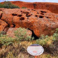 20250418_133844 ltjaritjariku Yuu - In the Tjukurpa (creation time), the ancestral Minyma (marsupial mole woman) built this shelter and yuu (windbreak). The yuu is the large...