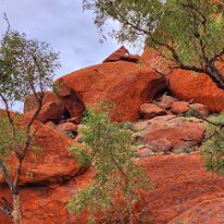 20250418_143735 Is this snake head shaped rock possibly Wanampi?