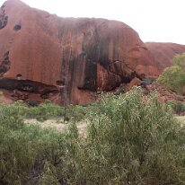 IMG_2249 Uluru has a distinct red colour caused by the presence of iron oxide.