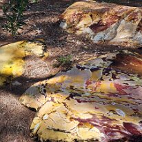 20250420_150400 The picture shows a large piece of Mookaite Jasper, also known as Mookaite. Its distinctive colors, ranging from red, yellow, and brown to cream, are a result...