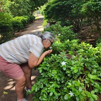 20250420_154746 Sharon takes a moment to smell the Arabian Jasmine or Sambac Jasmine.