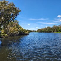 20250421_113039 The wildlife-filled wetlands of the Yellow Water Billabong are among the highlights of the Kakadu National Park. We took a cruise on a pontoon boat to view the...