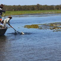 IMG_2310 As we cruised along we came across a family out for a day of fishing. As we arrived they were bringing in a catch!