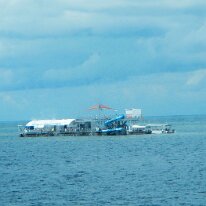 DSCN1648 We started our day boarding a fast catamaran cruise to the Great Barrier Reef. This is the Moore Reef pontoon where we docked at to spend our afternoon. There...