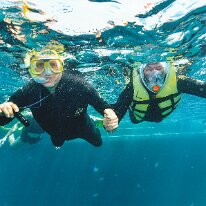 Great Barrier Reef Sharon and Ken