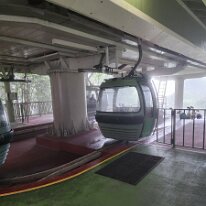 20250424_094556 We started our day today with a trip thru a rainforest on the Skyway Rainforest Cableway to Kuranda.