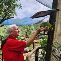 20250424_113557 Ken feeds a Turquoise-fronted Amazon parrot, also known as a Blue-fronted Amazon. These parrots can live for an average of 60 years, with some individuals...