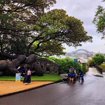 20250427_094420 Taronga Zoo Is the home to King Nyani. Nyani is ‘gorilla’ translated in Swahili. The statue is the largest bronze gorilla sculpture (30 feet) on the planet and...