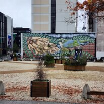 20250429_084116 One of many pieces of street art, this one in Spark Square in Christchurch, New Zealand.