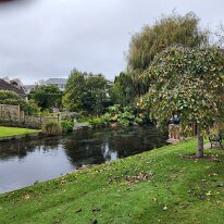 20250429_090724 A subdivision borders the entrance to the park separated by the Wairarapa Stream.