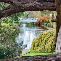 20250429_091234 An enchanting footbridge crosses the Wairarapa Stream.