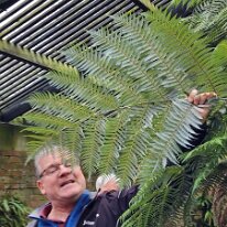 20250429_092255 Our tour guide Ronan telling us about the silver fern. The silver fern is a species of medium-sized tree fern, endemic to New Zealand. The fern is usually...