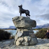 20250429_141403 The Sheepdog Memorial, also known as the Mackenzie Sheep Dog Statue, located in Lake Tekapo, New Zealand. This bronze statue is a tribute to the border collies...