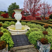 20250430_154134 While enjoying some ice cream, why not stretch your legs in Mrs Jones beautiful English-style garden. The garden contains hundreds of rose.