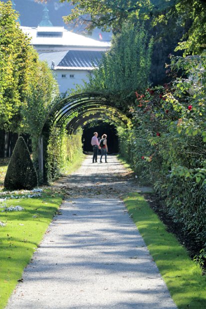 L_Salzburg00023 Hedge Tunnel Mirabell Gardens that the children run through in Sound of Music singing Do Re Mi