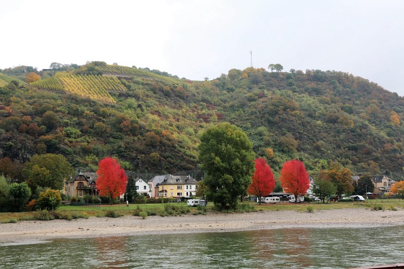 S_Middle Rhine00180