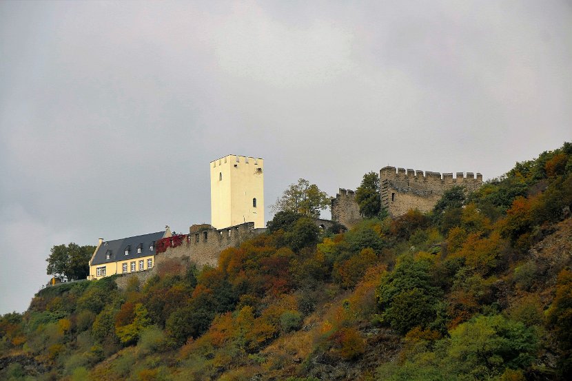 S_Middle Rhine00201 Sterrenberg Castle