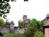 R_Wertheim00025.jpg